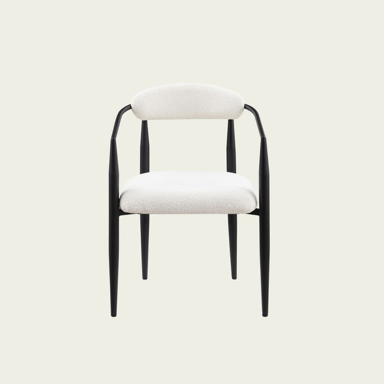 Set of 2 Mid-century modern backrest chairs | needle metal frame & White sherpa upholstery 00